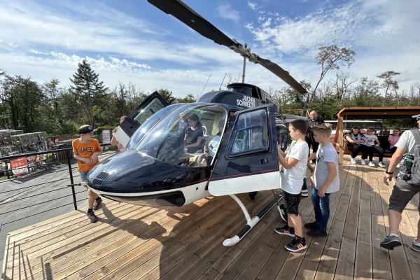 3.1 Helikopter